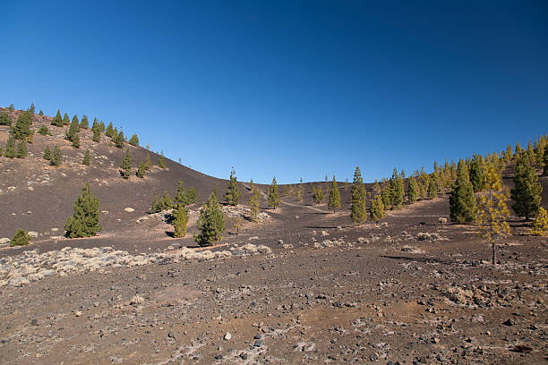 istock Teide Tenerife Canarian volcano landscapes 498307460