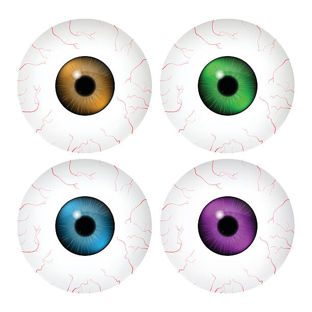 istock Image of realistic human eye ball with colorful pupil, iris. 498308728
