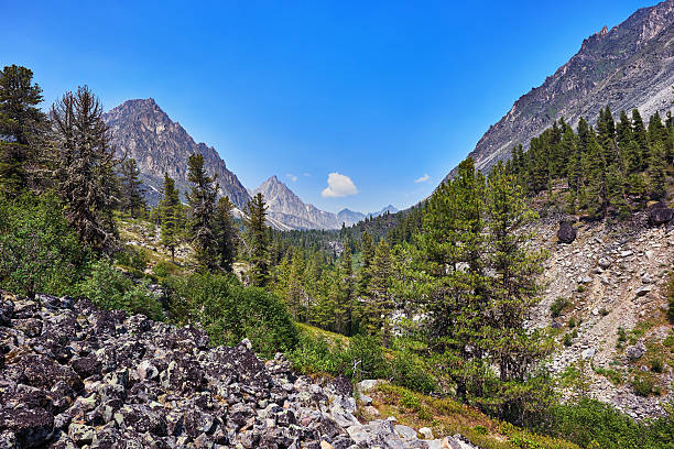 istock Mountain woodland scenery. Eastern Siberia 498308734