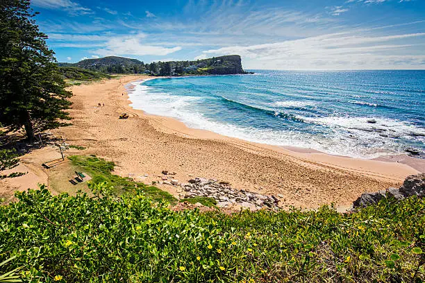 Photo of Avalon Beach