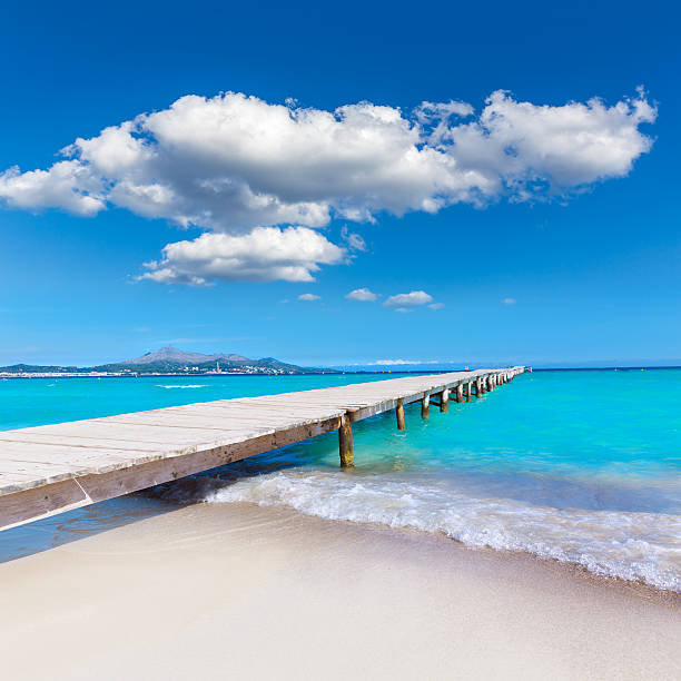istock Majorca Platja de Muro beach Alcudia bay Mallorca 498309808