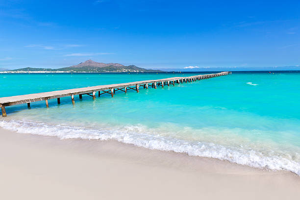 istock Majorca Platja de Muro beach Alcudia bay Mallorca 498309918