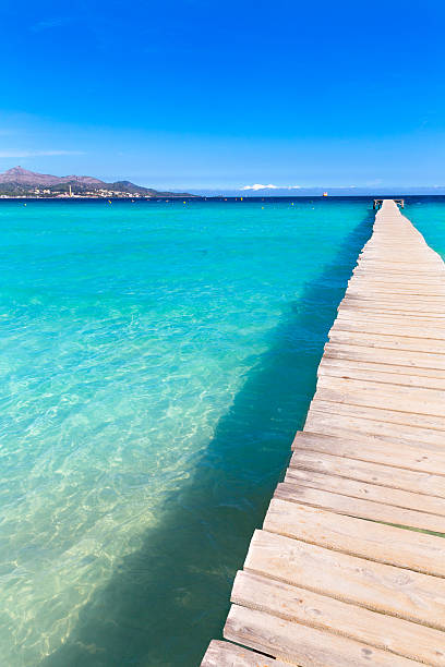 istock Majorca Platja de Muro beach Alcudia bay Mallorca 498310062