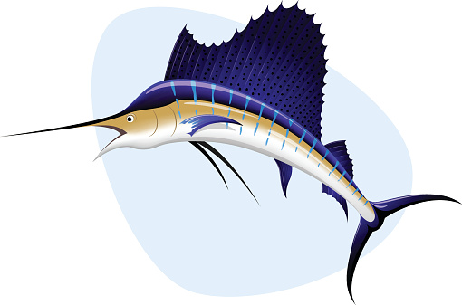 Vector illustration of a sailfish against an abstract blue background. Illustration uses linear and radial gradients, gradient meshes and transparencies. Sailfish is on its own layer, easily separated from the background in a program like Illustrator, etc. Both .ai and AI10-compatible .eps formats are included, along with a high-res .jpg, a high-res .png with transparent background, AND both a .jpg and a .png without the blue background shape.