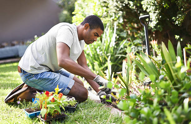 der ausrottung das problem - gardening shovel trowel flower stock-fotos und bilder