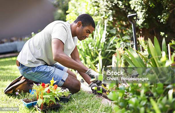 Rooting Out The Problem Stock Photo - Download Image Now - Gardening, Men, Yard - Grounds