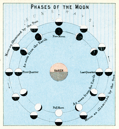 Vintage engraving showing the Phases of the Moon, 1891