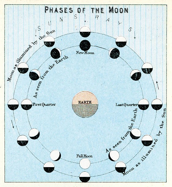 phases of the moon - 月蝕 插圖 幅插畫檔、美工圖案、卡通及圖標