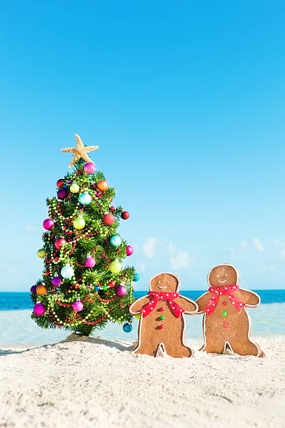 istock Gingerbread Cookie Couple with Christmas Tree Beach Vacation Vertical 498317897