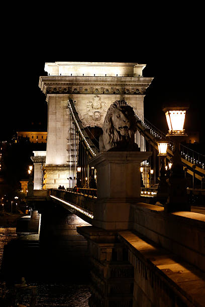 Chain Bridge Budapest by night (close-up) Chain Bridge Budapest by night (close-up). arma-globalphotos stock pictures, royalty-free photos & images