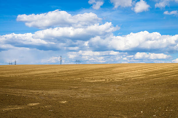 istock agricultural field with heaven 498330654