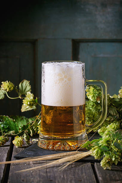 istock Mug of lager beer 498332744