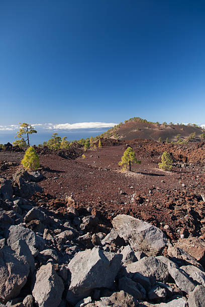 istock Teide Tenerife Canarian volcano landscapes 498335032