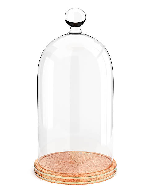 istock Glass dome on the wooden plate isolated on white background 498335088