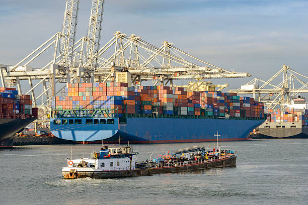istock Container ships and bunker fuel barge in port 498337448