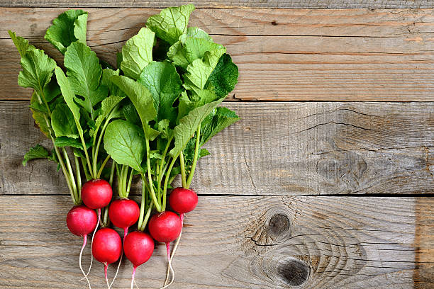 istock Bunch of radishes 498337753