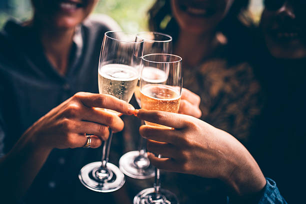 To our friendship! Three female friends celebrating with champagne. They are sitting in a bar and toasting with glasses of champagne. toasted stock pictures, royalty-free photos & images