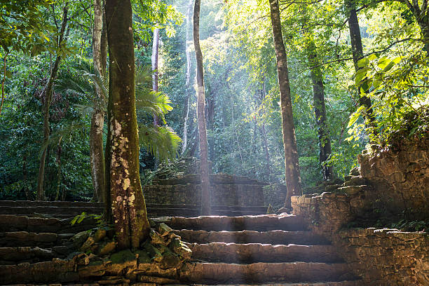 A tree grows out of stone steps, ripping them from the ground, in Palenque, Mexico. The Mayan city flourished in the 7th century, rising to prominence under the ruler Pakal, who reigned from AD 615 to 683. Today the Mayan city is a ruin and popular tourist destination.