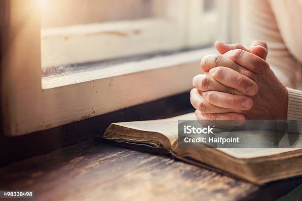 Woman With Bible Stock Photo - Download Image Now - Praying, Bible, Religion