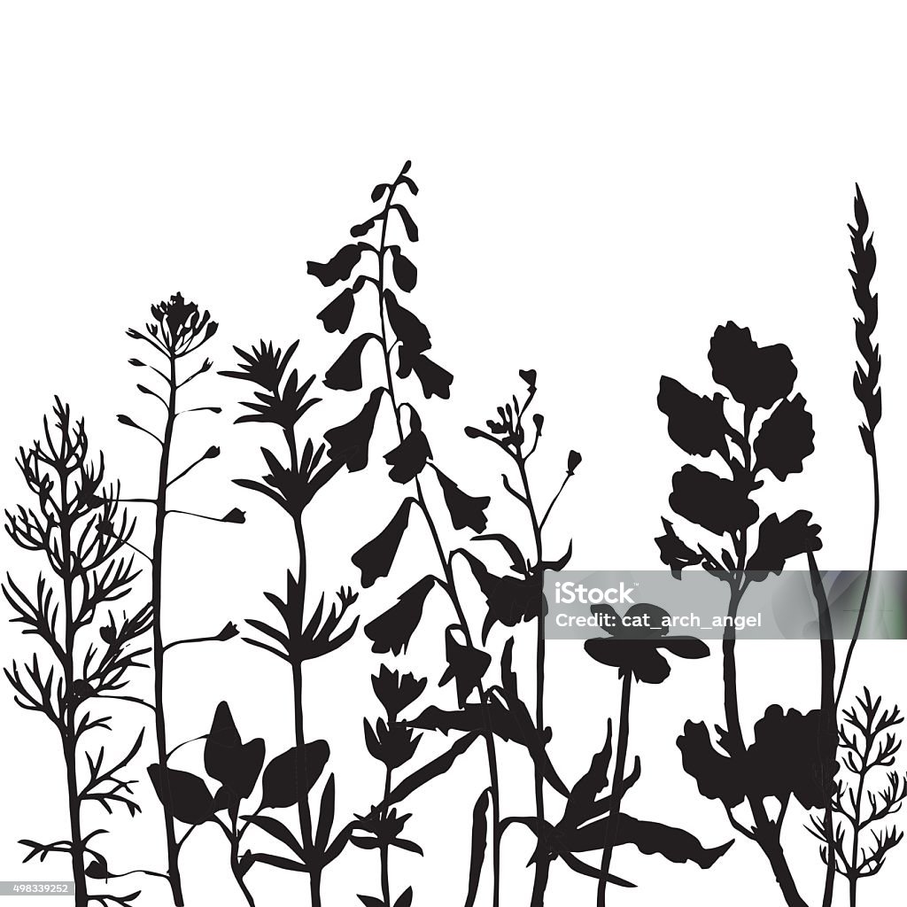 vector silhouettes of wild herbs and flowers grass silhouettes,  wild flowers, herbs and leaves,  wild plants, monochrome vector floral background 2015 stock vector