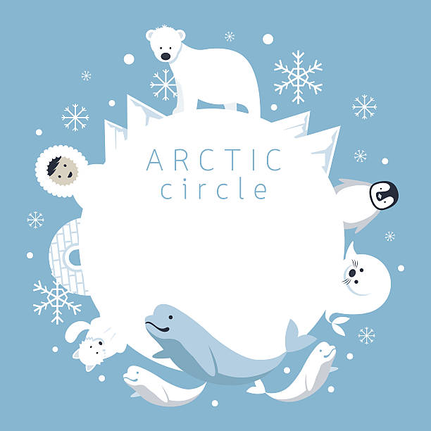 ilustrações de stock, clip art, desenhos animados e ícones de círculo polar árctico frame de pessoas, animais, - iceberg banner animal bird