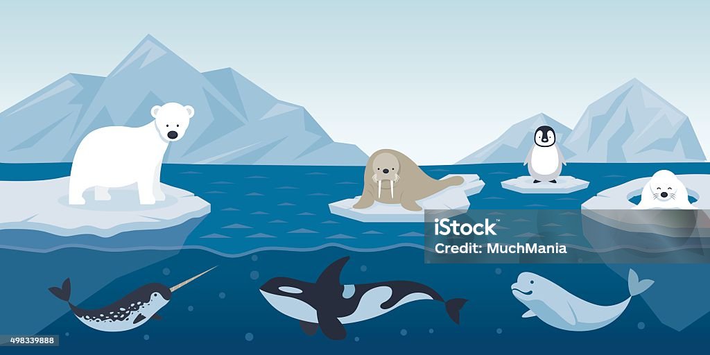 Arctic Animals Character And Background Stock Illustration - Download Image  Now - Animal, Animal Themes, Arctic - iStock