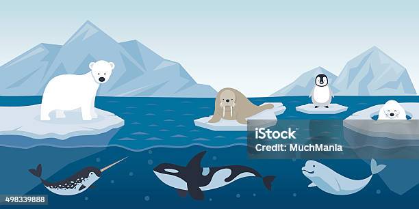 Arctic Animals Character And Background Stock Illustration - Download Image  Now - Animal, Animal Themes, Arctic - iStock