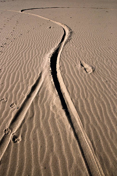 istock Sand south of Italy 498339901