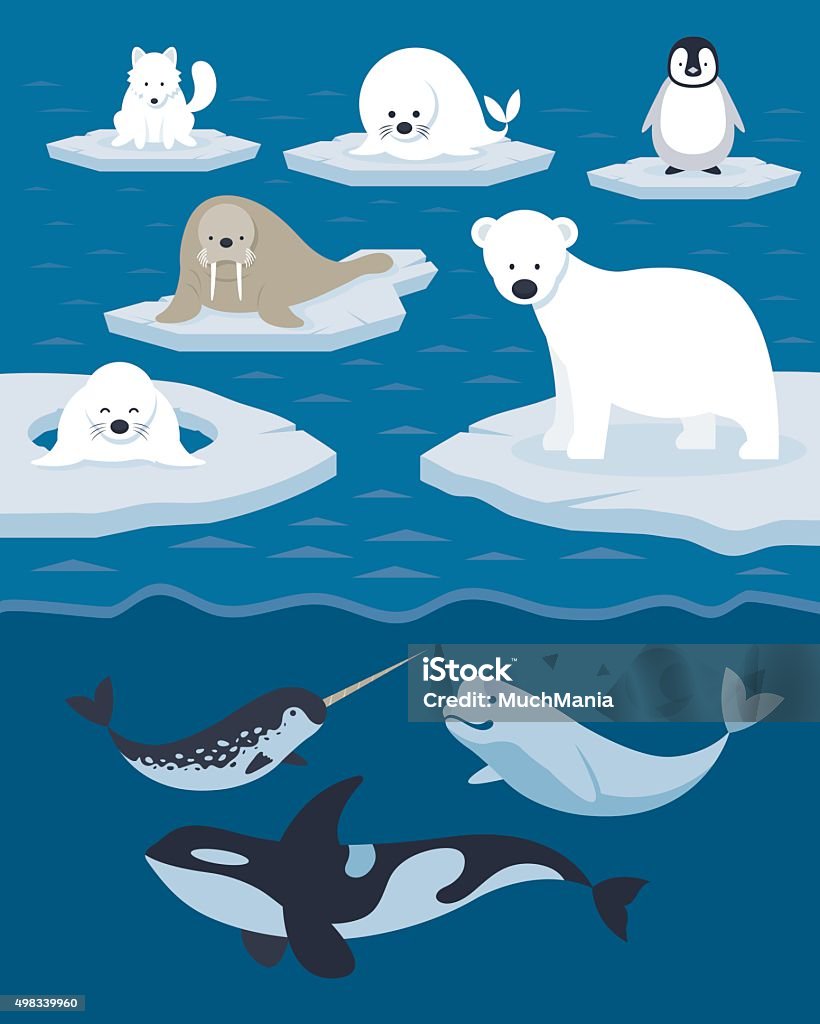 Arctic Animals Character And Background Stock Illustration - Download Image  Now - Arctic, Animal, Animal Themes - iStock