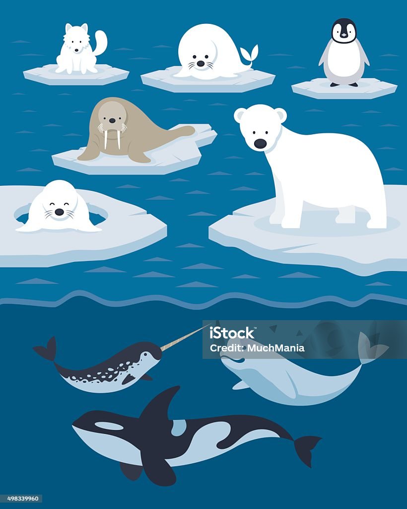 Arctic Animals Character And Background Stock Illustration - Download Image Now - Arctic, Animal, Animal Themes - iStock Arctic Animals Character And Background Stock Illustration - Download Image Now - Arctic, Animal, Animal Themes - iStock