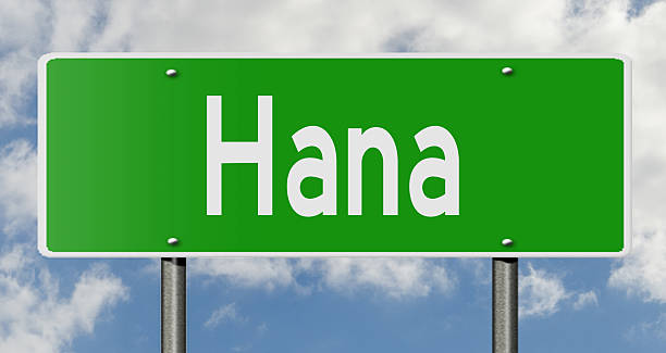 istock Highway sign Hana 498340436