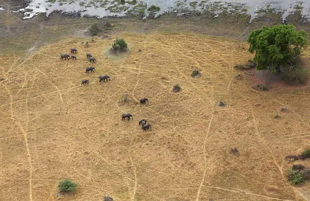 Flight over the Okavango Delta