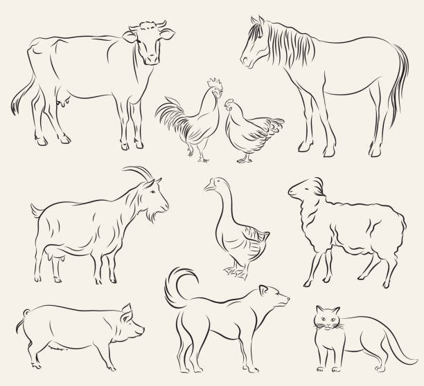 farm animals farm animals. set of vector sketches on a white background craft kit stock illustrations