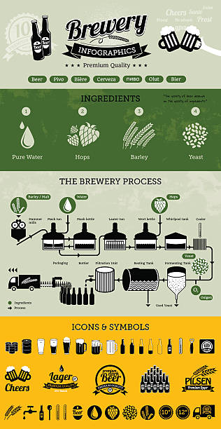 illustrazioni stock, clip art, cartoni animati e icone di tendenza di birrificio birra elementi infografica con icone & - brewery beer barley cereal plant