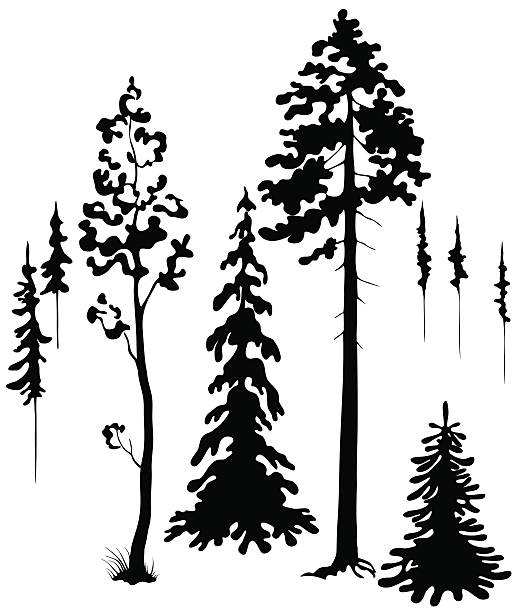 drzewa sylwetki - silhouette christmas holiday illustration and painting stock illustrations