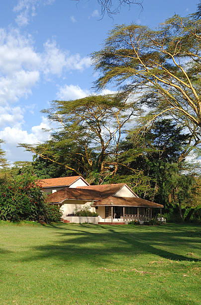 istock Tourist resort in a woods 498365943
