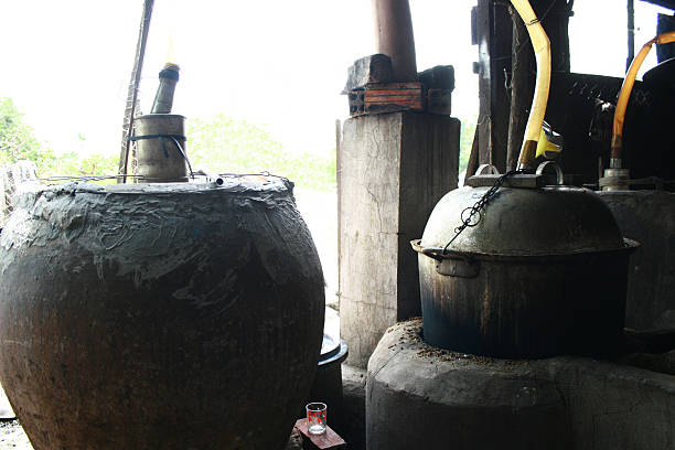 istock Rice spirit distillery, Mekong Delta, Vietnam 498366811