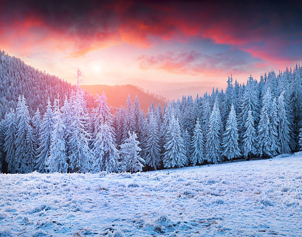 istock Beautiful winter sunrise in the mountains 498368992