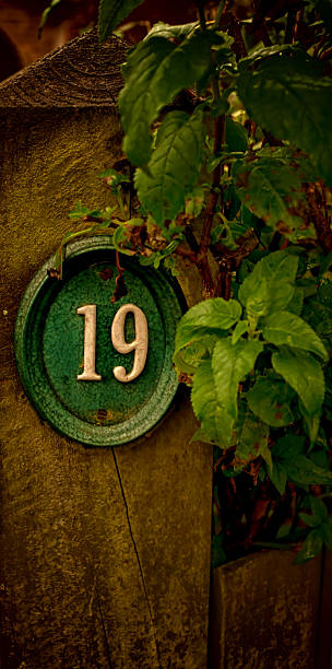 Number 19 - old fashion