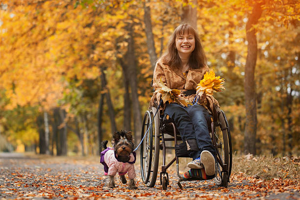 smiling l girl on a wheelchair with  dog in autumn stock photo