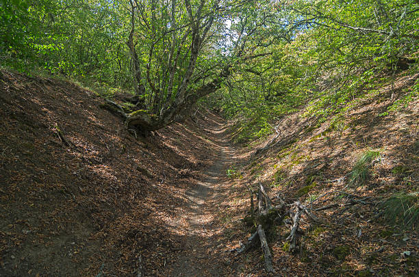 istock Small ravine in the Crimean mountains. 498378932