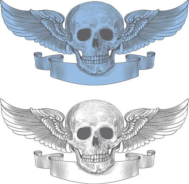 Vector illustration of Skull with wings and ribbon in vintage engraving style