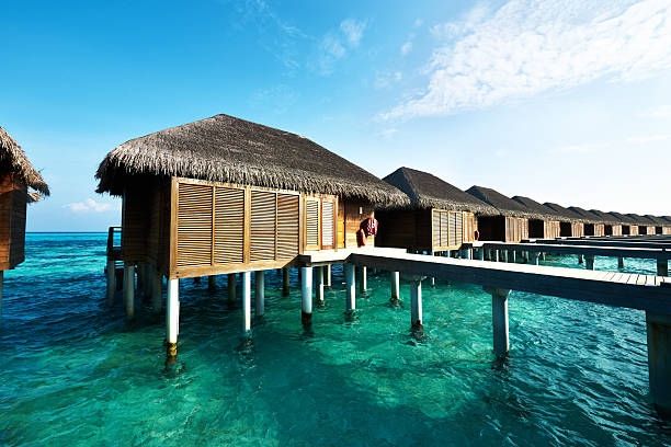 istock Beautiful beach with water bungalows 498387009