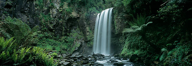 wodospad hopetoun falls, wiktoria, australia - rainforest forest river australia zdjęcia i obrazy z banku zdjęć