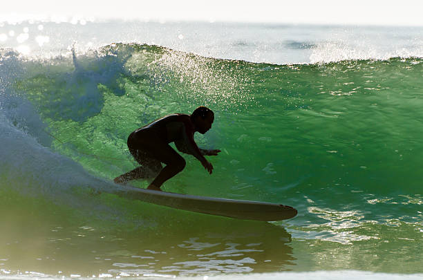 istock Long boarder surfing the waves at sunset 498389677