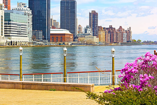 istock View on Manhattan from Roosevelt Island in spring. 498391601