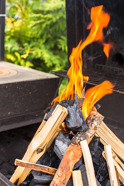 istock Closeup shot of open camping fire for barbecue 498392643