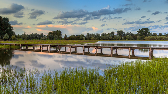 Long wooden footbridge in nature reserve de Blauwe Kamer near Wageningen, Betuwe, Netherlands