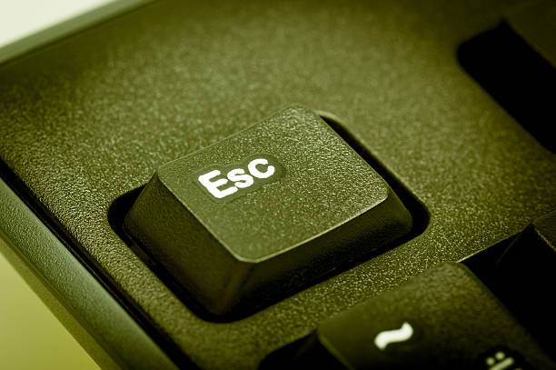 istock Electronic collection - detail computer keyboard focus  on Esc key 498397798