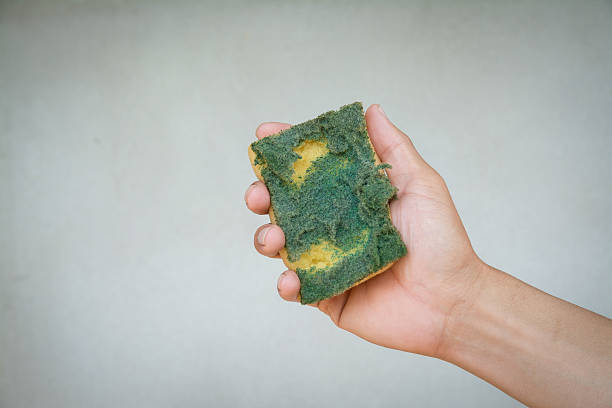 old dirty sponge in human hand stock photo